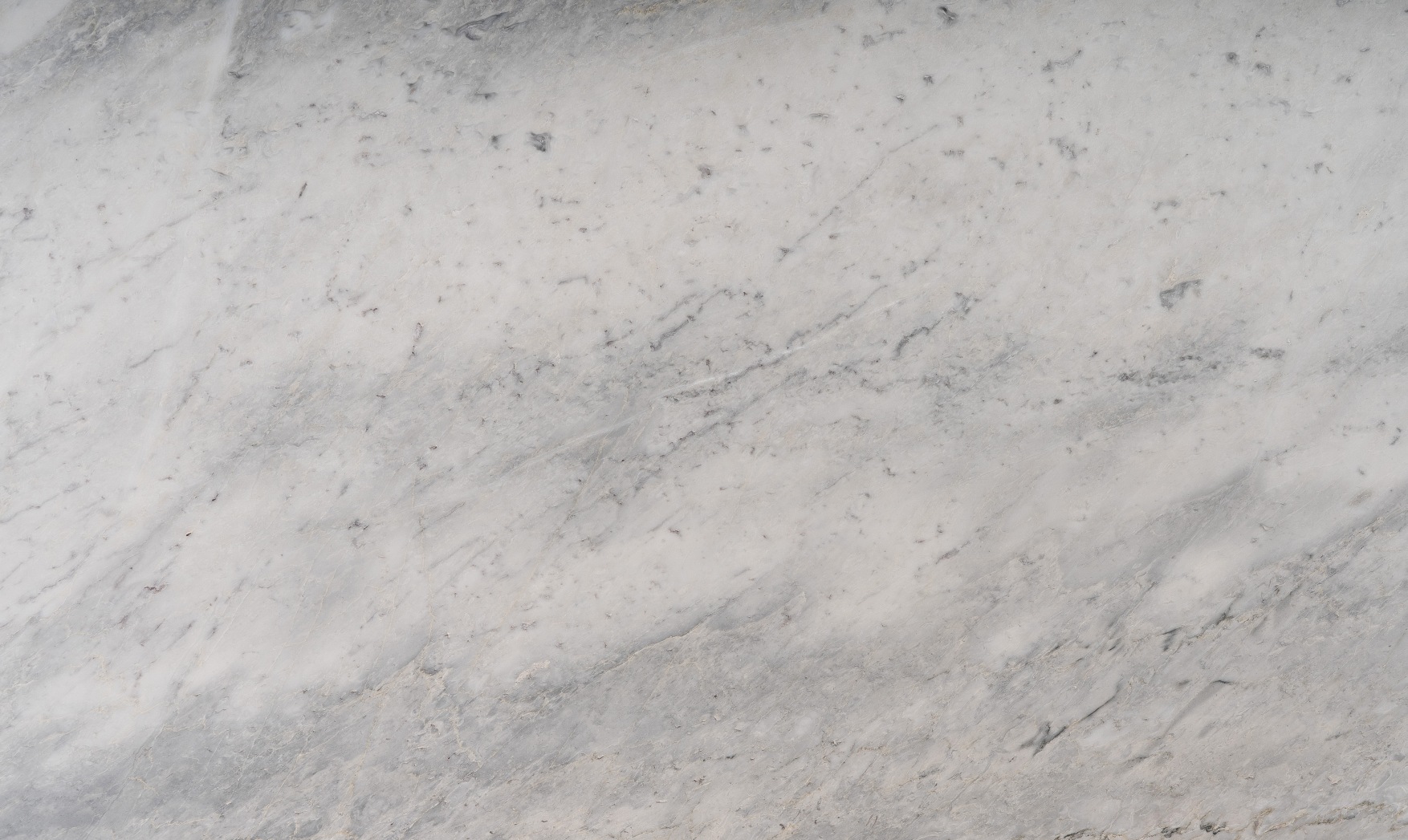 Selas Grey